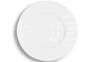 Assiette de Présentation