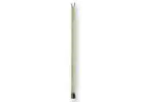 Curette à Crustacés